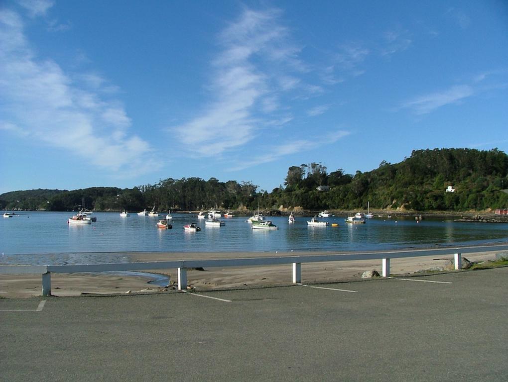 Kowhai Lane Lodge Half-moon Bay Экстерьер фото