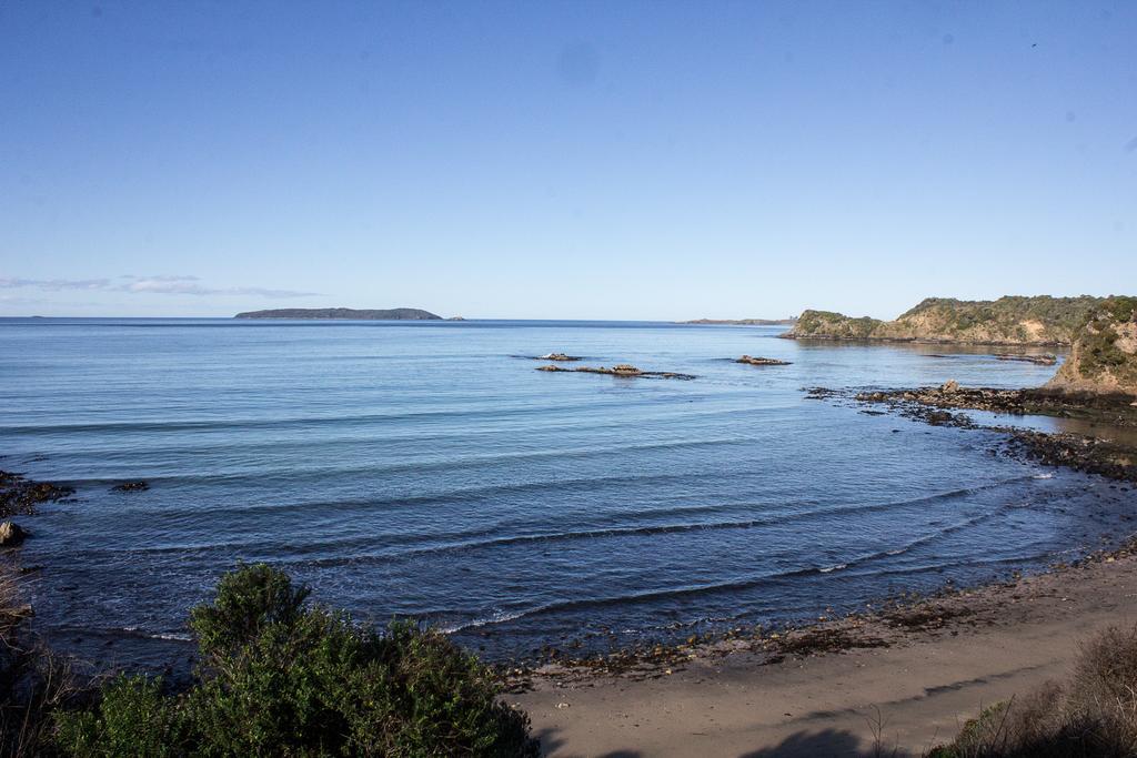 Kowhai Lane Lodge Half-moon Bay Экстерьер фото